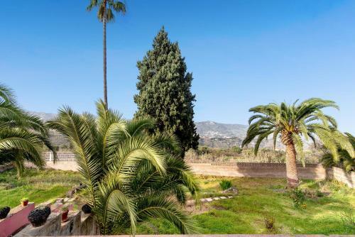 Finca Madro�al