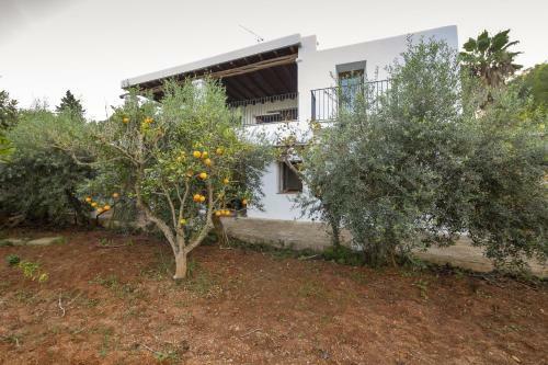 Villa Can Macia