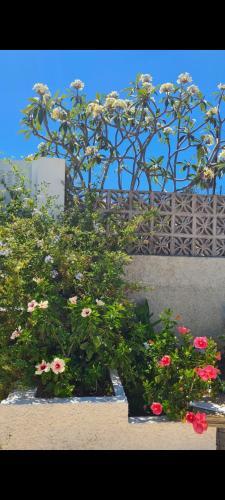 Meerblick Candelaria