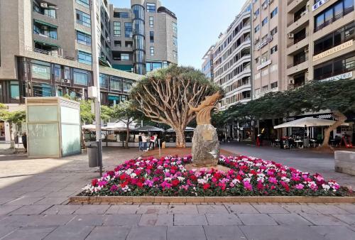 Apartamento Home2book Centric & Cozy Flat Rambla Santa Cruz