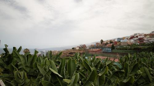 Casa Tulipanes & Spa