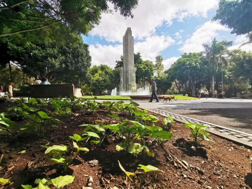 Apartamento Home2book Charming Studio Santa Cruz City Views