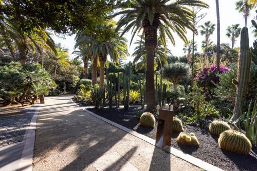 Apartamento Home2book Charming Studio Santa Cruz City Views