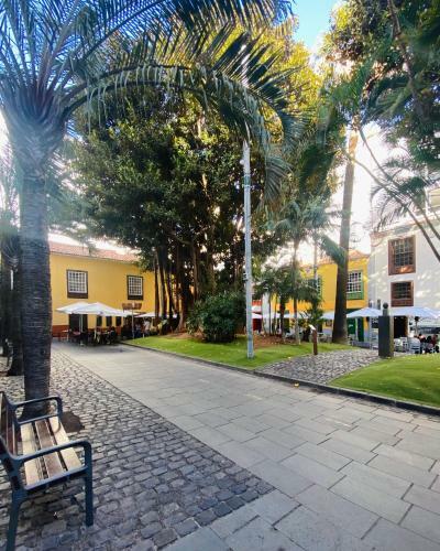 Apartamento Macaronesia Home