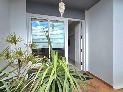 Apartamento Drago