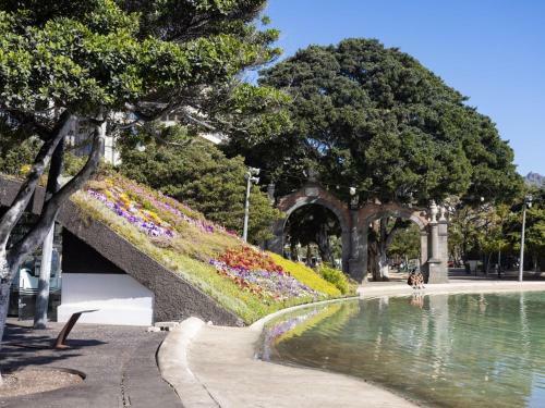 Apartamento Chayofa Suites