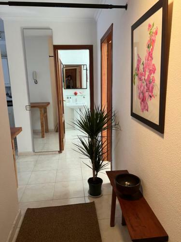 Apartamento Cozy