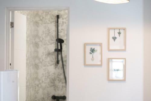 Apartamentos Acaymo