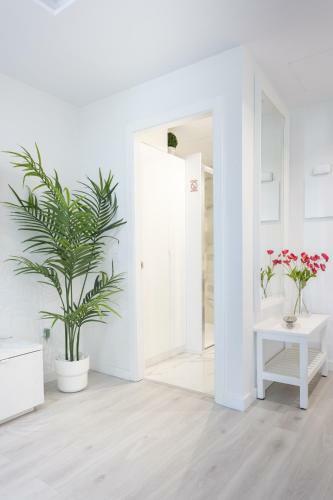 Apartamento Home2book Olympo Suite