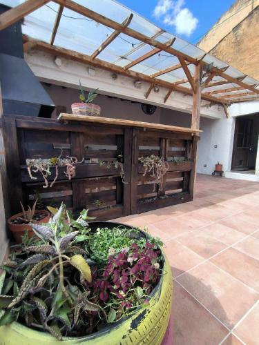 Ohana Salut House