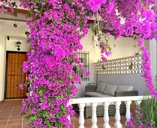 Casa De Amigos