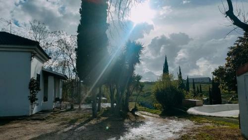 Las Brujas