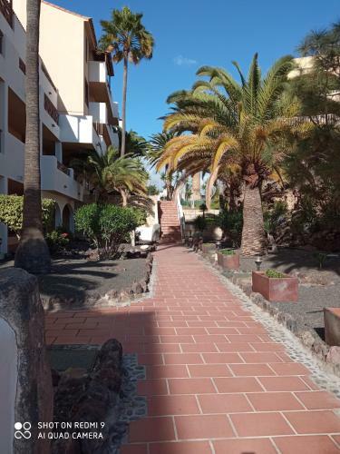 Las Meninas Tenerife