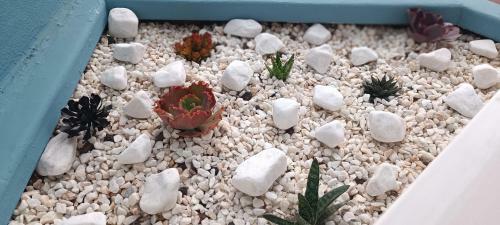 Apartamento Serendipia