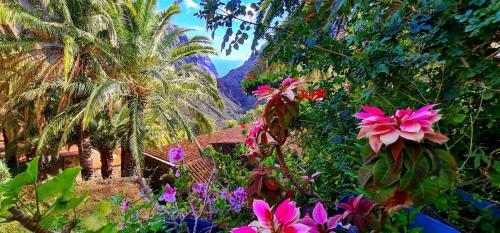 Apartamento Ocean View Tenerife