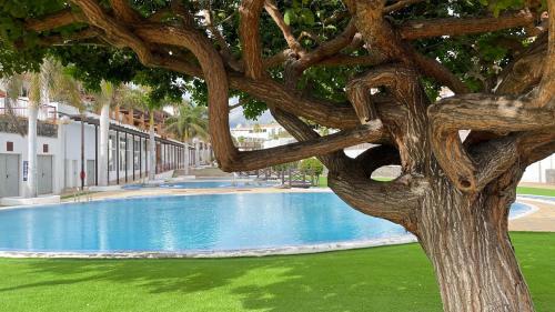 Apartamento House Helen Holidays In Tenerife