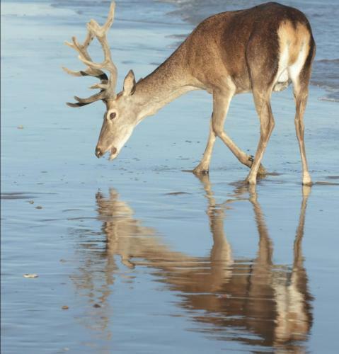 Apartamento Ana Maria