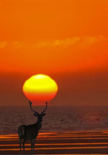 Apartamento Ana Maria