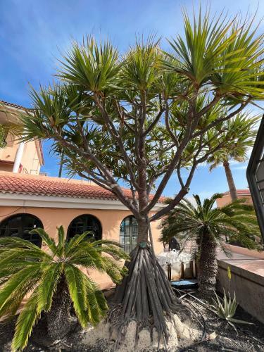 Apartamento Paz Ocean View, Air Condition, Wifi, Heated Pool