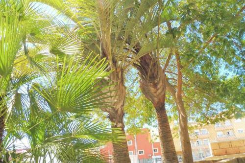 Apartamento Vacaciones En El Sur de Tenerife