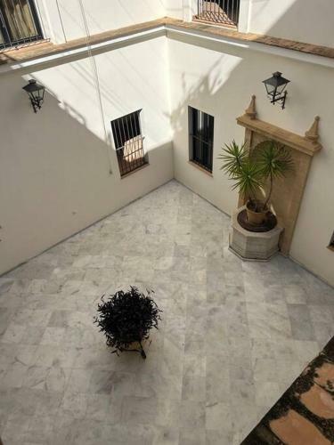 Apartamento D�plex En Casco Hist�rico, Terraza, Garaje, Wi-fi