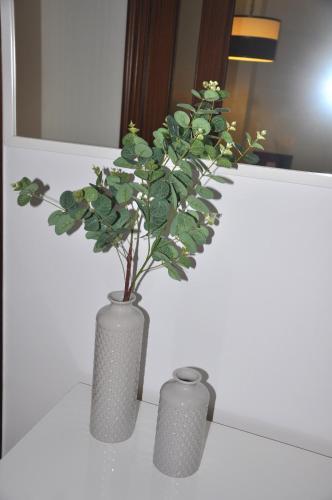 Apartamento Jilguero Con Parking Individual Privado