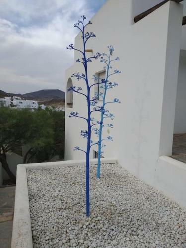 Mirador La Pita Azul