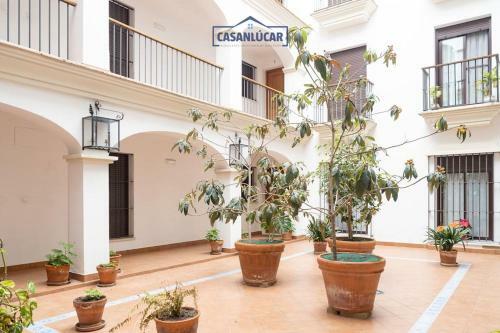 Apartamento Regina De Menta