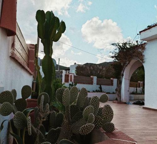 Chalet En San Jos�, Cabo de Gata-n�jar.