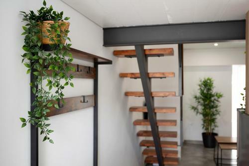 Apartamento Mariola