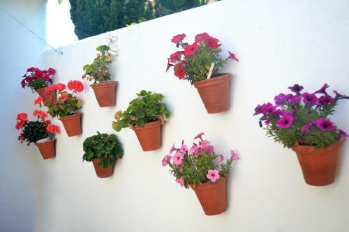Chalets En Sancti Petri