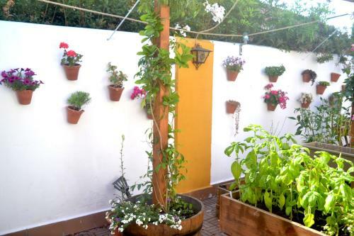 Chalets En Sancti Petri