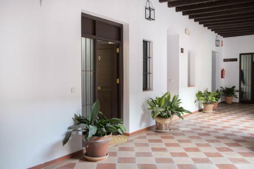 Apartamento Royal Rent Sanl�car San Agust�n