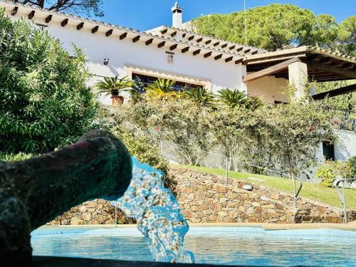 Maset Costabravasi