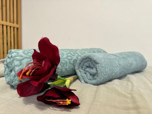 Apartamento Dream Laguna