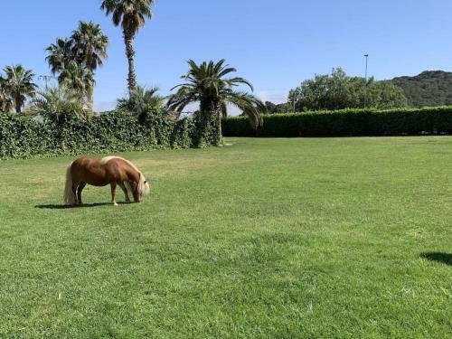 Villa Finca Montnegre Suites And Spa