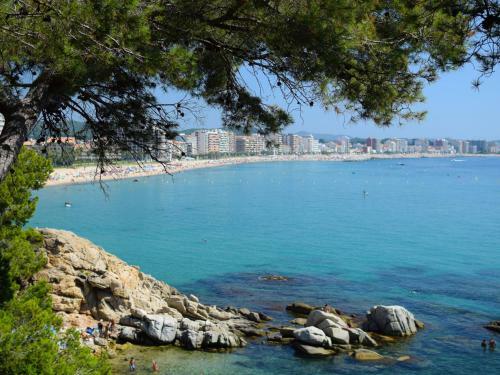 Apartment El Moli By Interhome