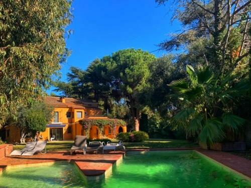 Hostal The Blue Eucalyptus