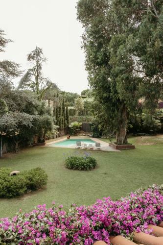 Hostal The Blue Eucalyptus