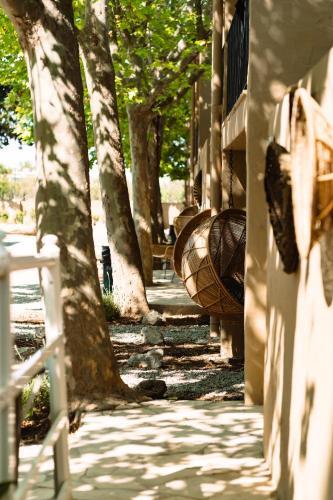Parco Ibiza, By Camping San Antonio Est 1961