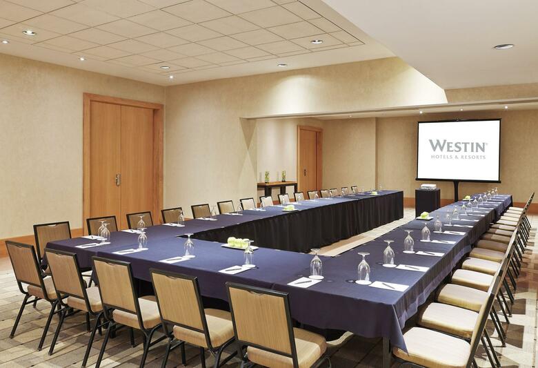 Hotel Westin Detroit Metro Airport
