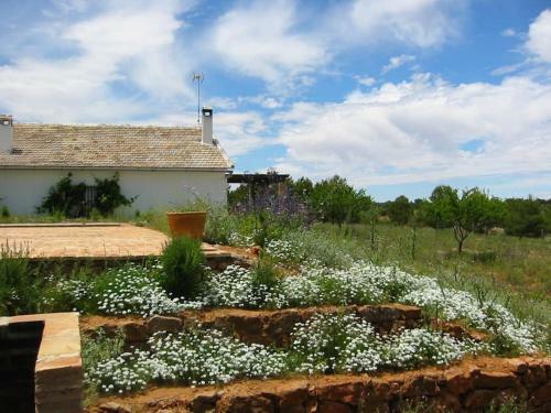 Gran Casa, Lagunas De Ruidera, Bbq, Porche, Chimenea