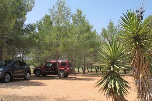 Gran Casa, Lagunas De Ruidera, Bbq, Porche, Chimenea