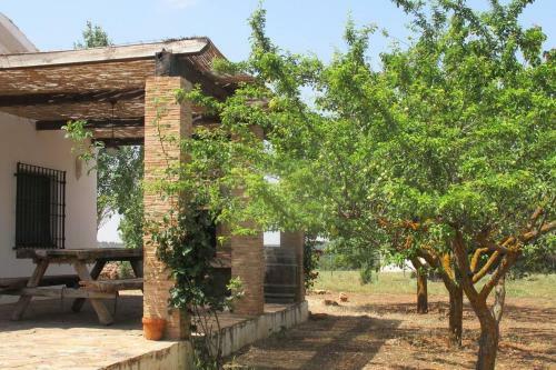 Gran Casa, Lagunas De Ruidera, Bbq, Porche, Chimenea