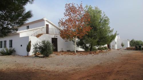 Gran Casa, Lagunas De Ruidera, Bbq, Porche, Chimenea