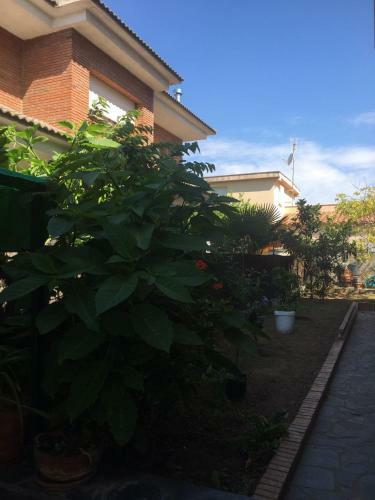 Casa De Aurora
