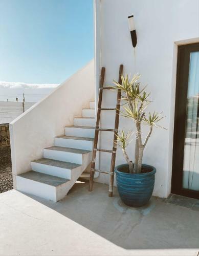 Bed & Breakfast Villa Koa - Riders Surf N Bike