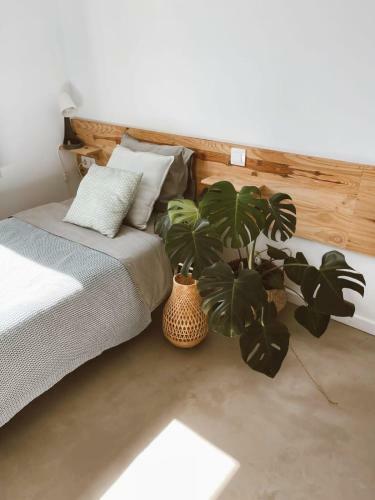 Bed & Breakfast Villa Koa - Riders Surf N Bike