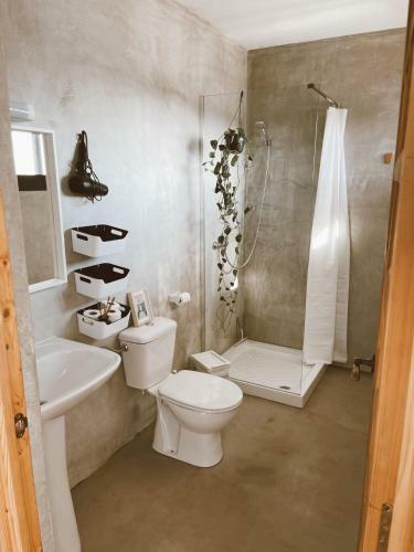 Bed & Breakfast Villa Koa - Riders Surf N Bike