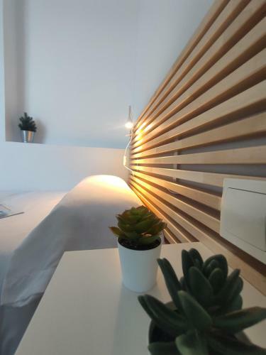 Apartamento Oasis Roma
